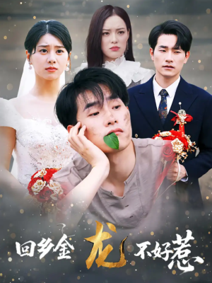 回乡金龙不好惹（74集）