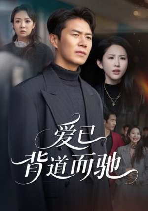 爱已背道而驰（70集）