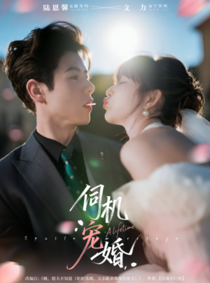 伺机宠婚（80集）