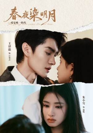 春夜染明月（48集）