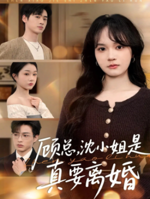 顾总沈小姐是真的要离婚（81集）