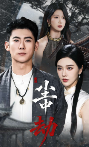 尘中劫（78集）