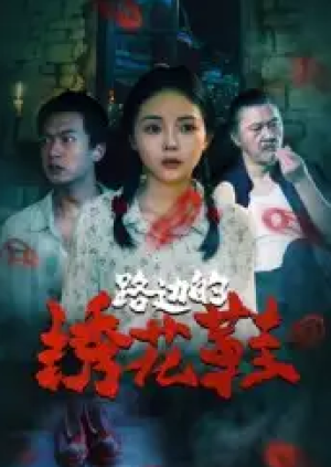 路边的绣花鞋（25集）