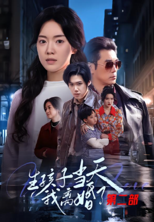 生孩子当天我离婚了第二部（60集）