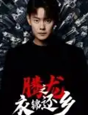 腾龙之衣锦还乡（30集）