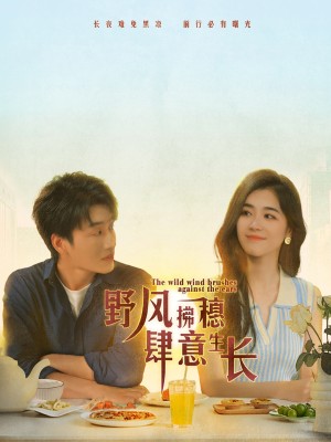 野风拂穗肆意生长（48集）