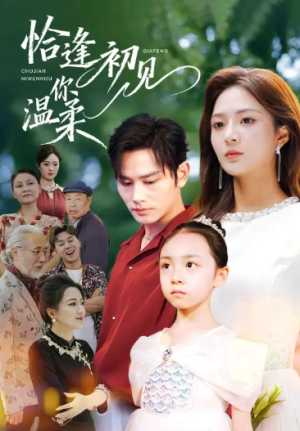 恰逢初见你温柔（86集）