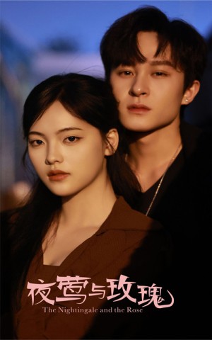 夜莺与玫瑰（60集）