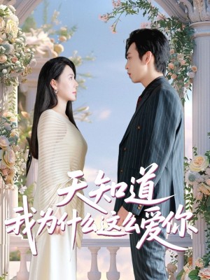 天知道我为什么这么爱你（32集）