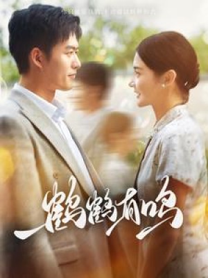 鹤鹤有鸣（87集）