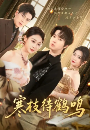 寒枝待鹤鸣（70集）