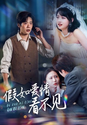 假如爱情看不见（55集）