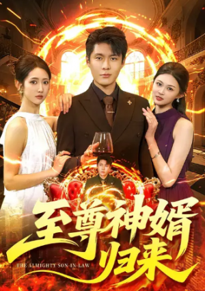 至尊神婿归来（104集）