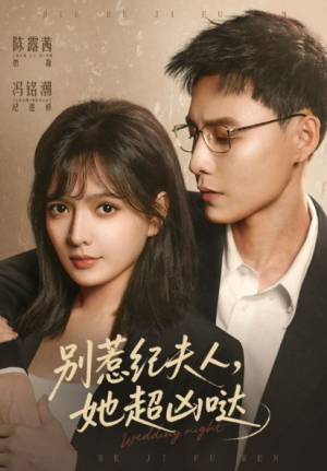 别惹纪夫人她超凶哒（70集）