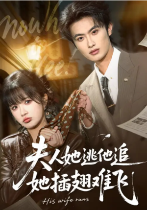 夫人她逃他追她插翅难飞（101集）