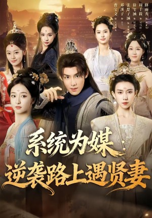 系统为媒逆袭路上遇贤妻（71集）