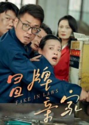 冒牌亲家（30集）