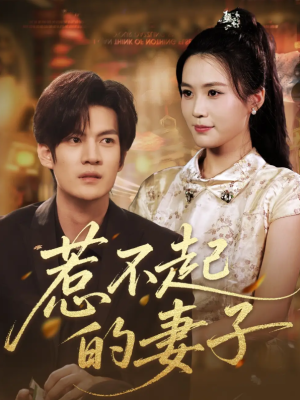 惹不起的妻子（56集）