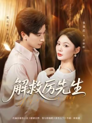 解救厉先生（84集）