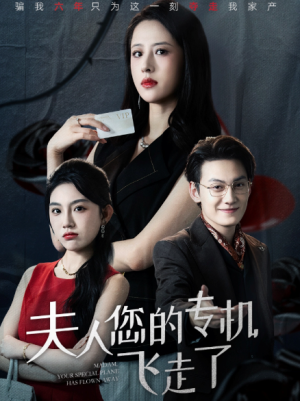 夫人您的专机飞走了（62集）