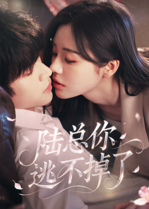 陆总你逃不掉了（44集）