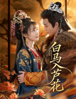 白马入芦花（59集）