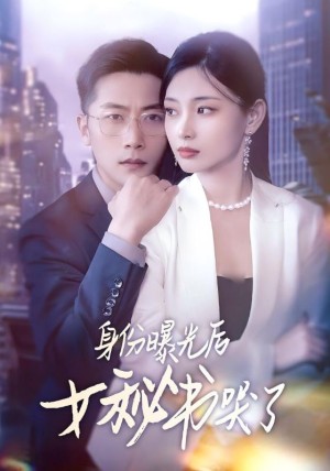 身份曝光后女秘书哭了（31集）