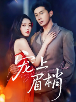 宠上眉梢（51集）