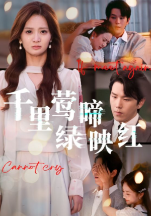 千里莺啼绿映红（63集）