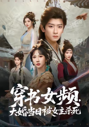 穿书女频大婚当日被女主杀死（80集）