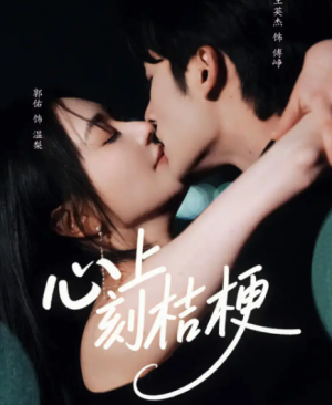 心上刻桔梗（90集）