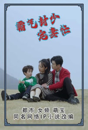 《霸气封少宠妻忙》（80集）