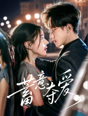 蓄意夺爱（60集）