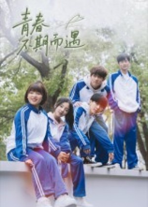 青春不期而遇（50集）