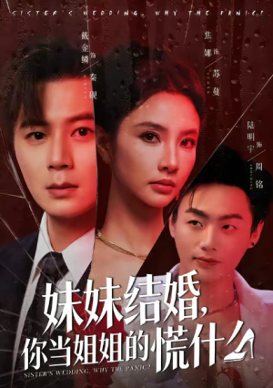 妹妹结婚你当姐姐的慌什么（53集）