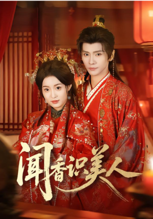 闻香识美人（65集）