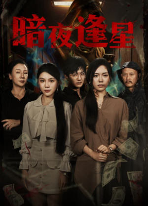 暗夜逢星（67集）