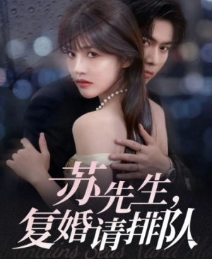 苏先生，复婚请排队（70集）