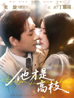 他才是高枝（77集）