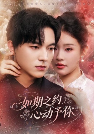如期之约心动予你（82集）