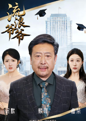 流浪爷爷（40集）