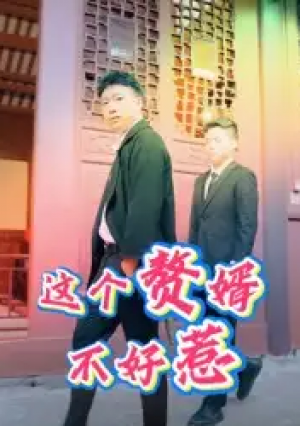 这个赘婿不好惹（27集）