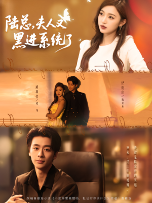 陆总，夫人又黑进系统了&陆总夫人又黑进系统了（81集）