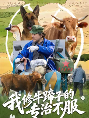 我修牛蹄子的专治不服（80集）
