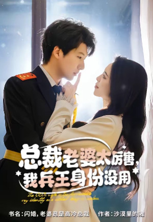 总裁老婆太厉害我兵王身份没用（80集）