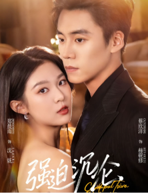 强迫沉沦（72集）