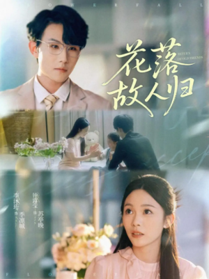 花落故人归（66集）