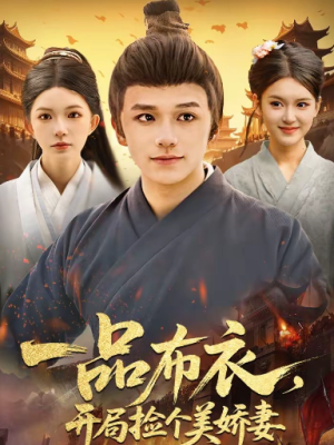 一品布衣开局捡个美娇妻（93集）