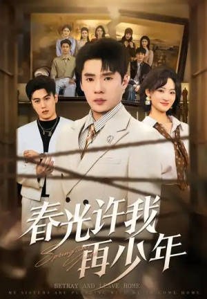 春光许我再少年（79集）