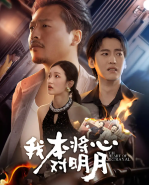 我本将心对明月（62集）